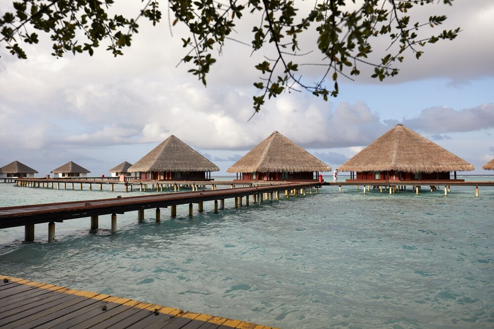 Dock