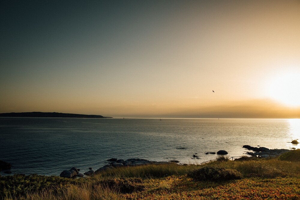 Beach/Ocean View