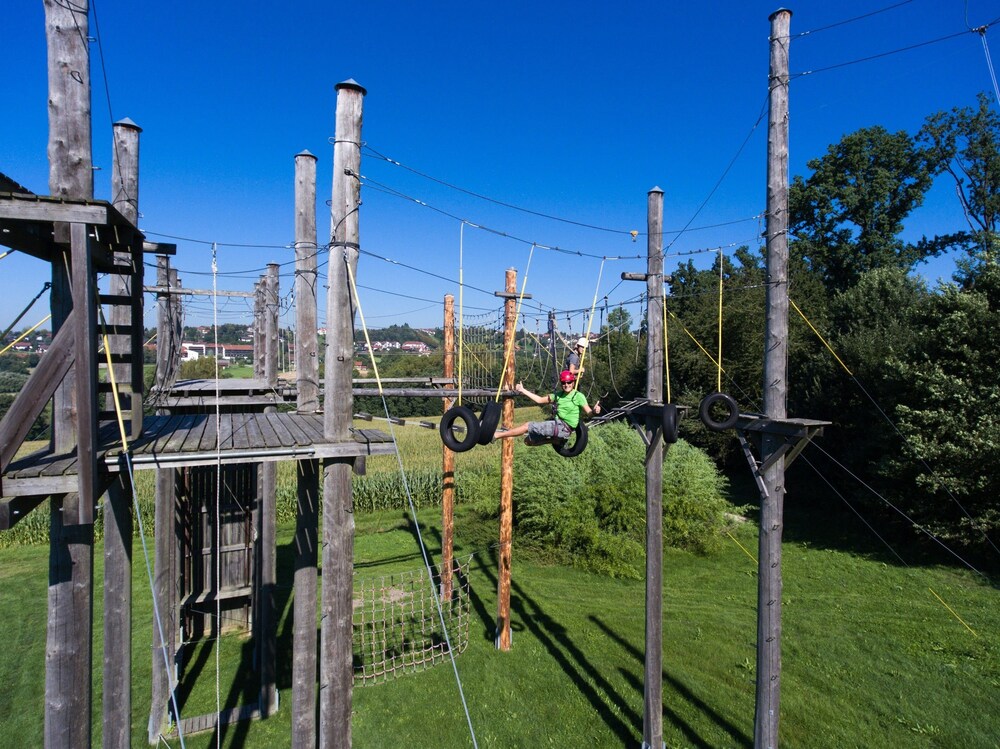 Ropes Course (Team Building)