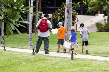 Childrens Activities
