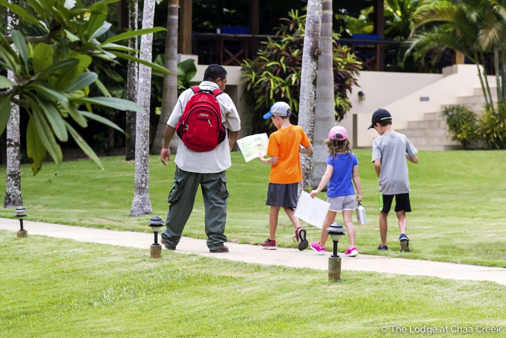 Childrens Activities