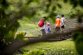 Childrens Activities