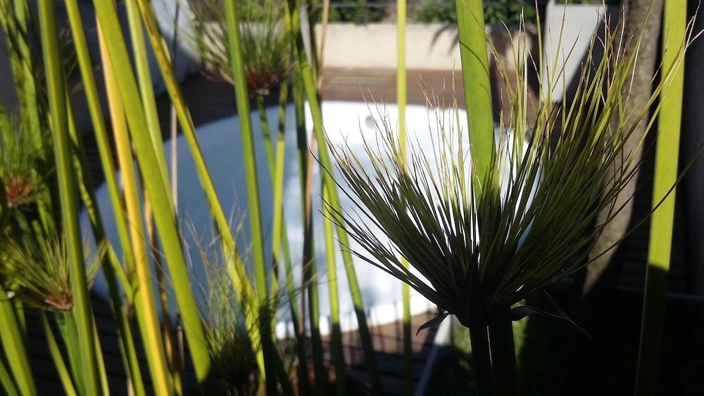 Sundeck