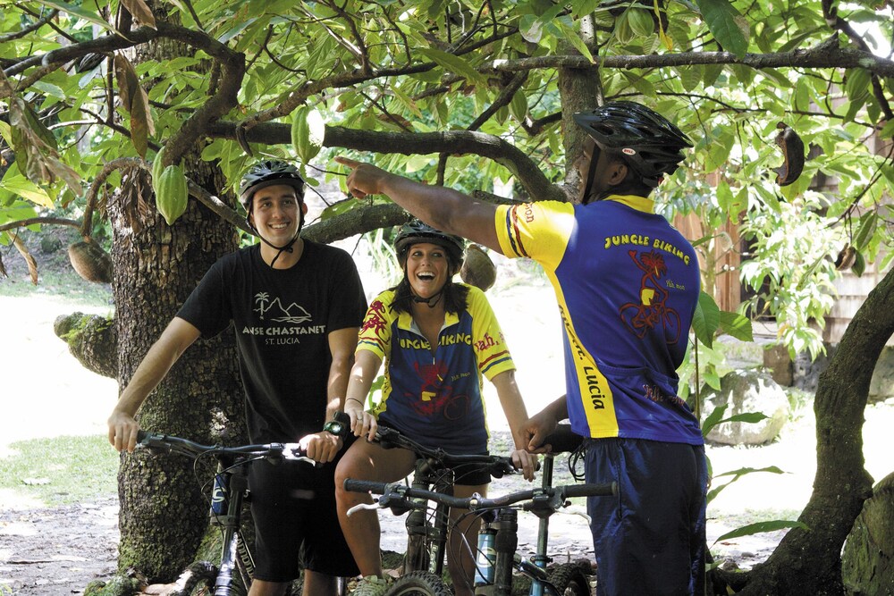 Bicycling