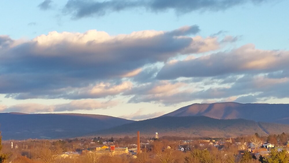 Guestroom View