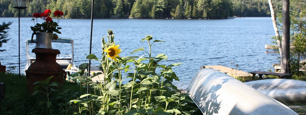 Lake View