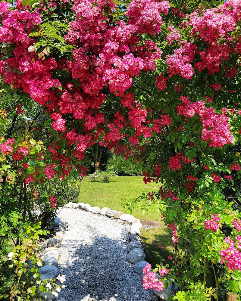 Giardino