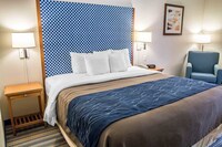 Standard Room, 1 King Bed, Non Smoking
