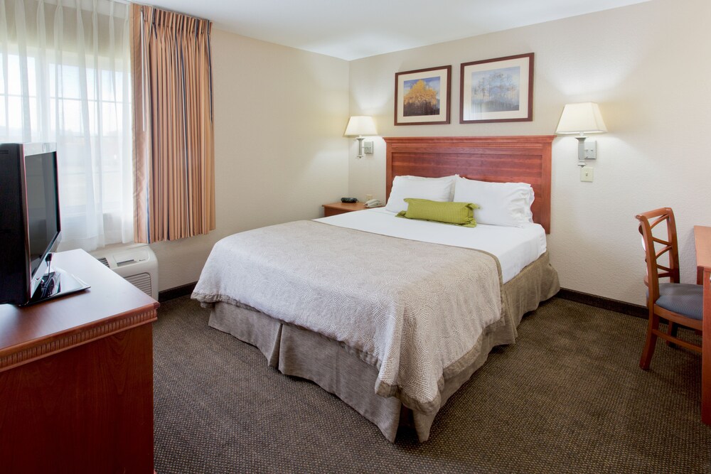 Suite, 1 Queen Bed, Non Smoking - Guestroom