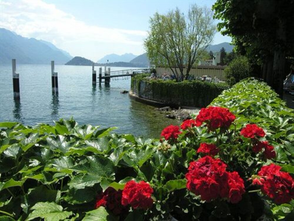 Lake View