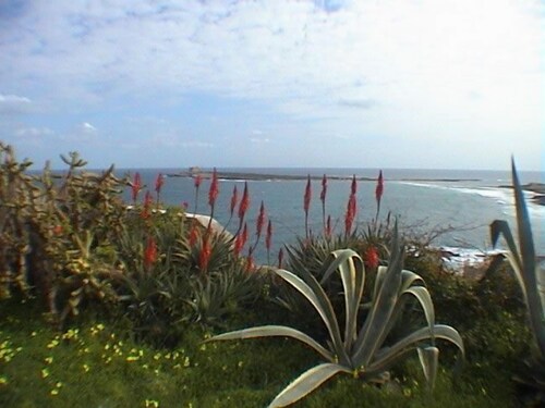 Vista spiaggia/mare
