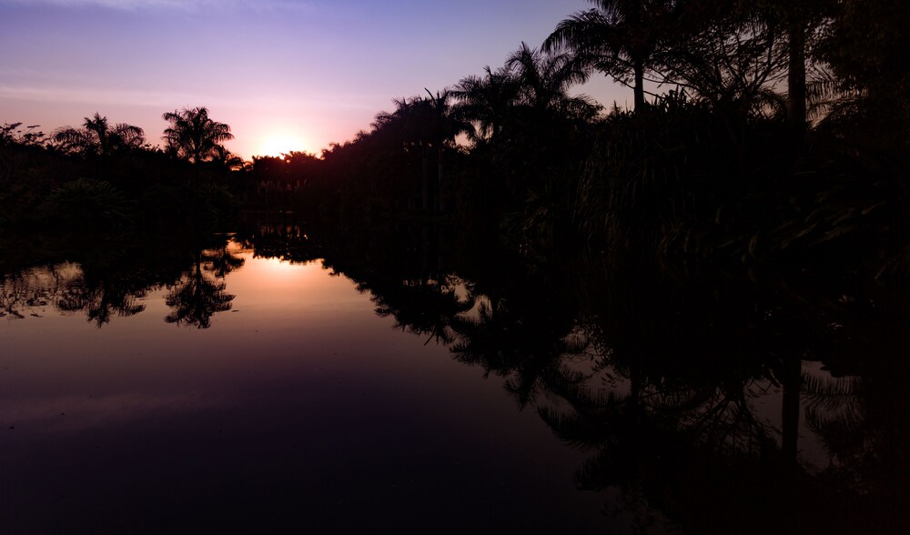 Lake View