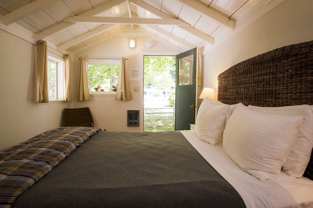 Room, Poolside - Guestroom