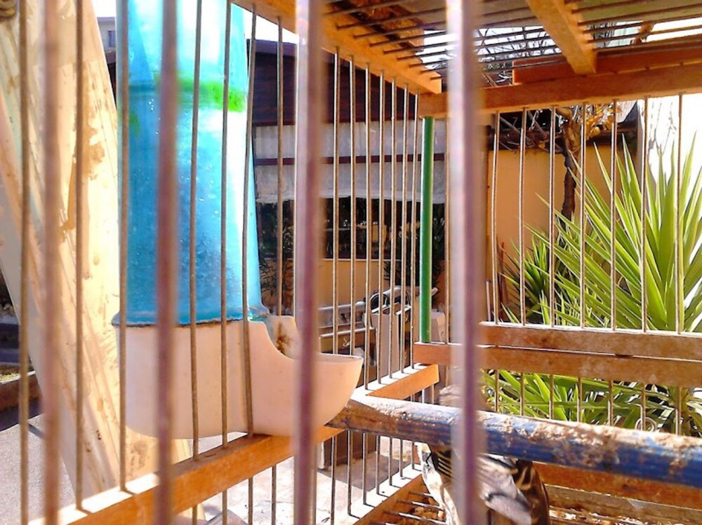 Jardin