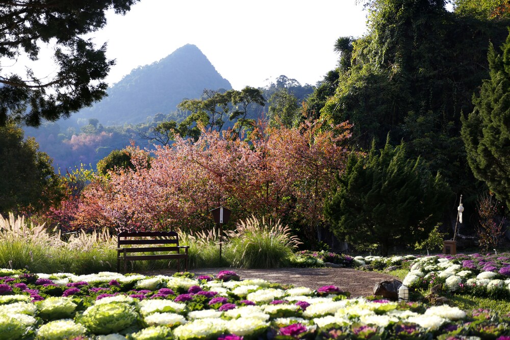 รูปเด่น