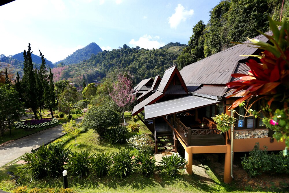 วิวสวน