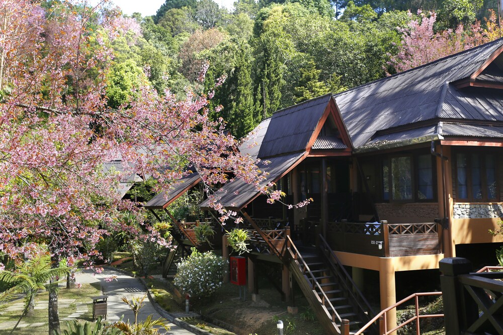 วิวภูเขา