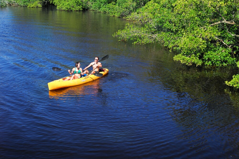 Kayaking, Naples Bay Resort & Marina