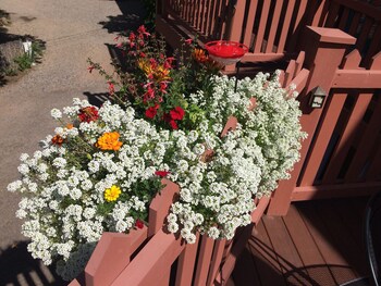 Porch