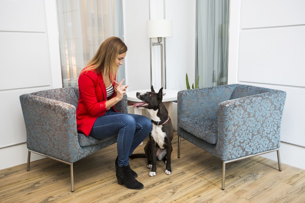 Pet-Friendly