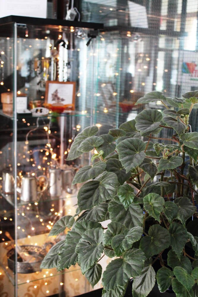 Gift Shop