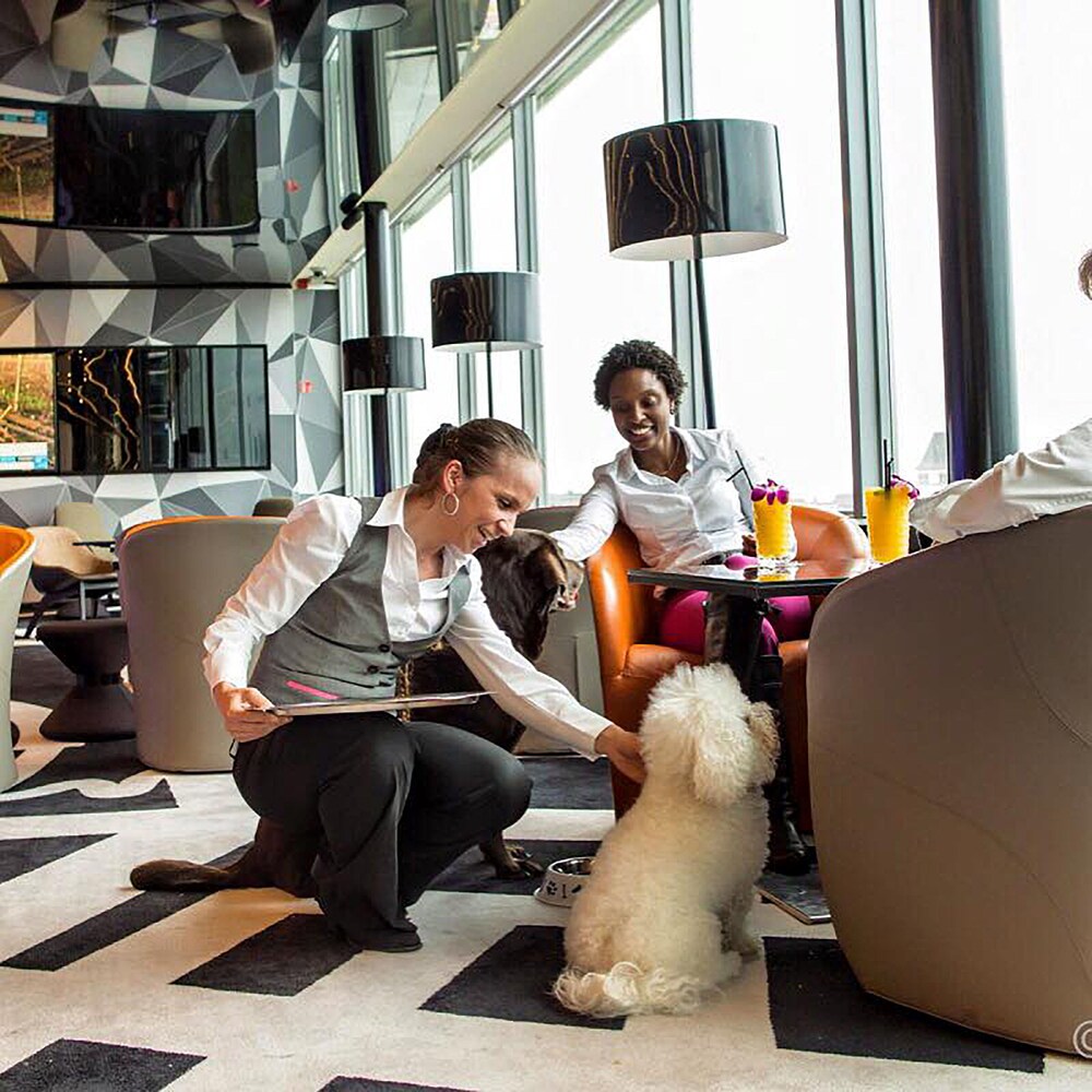 Pet-Friendly