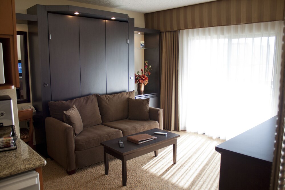 Studio with Queen Wall Bed - Guestroom