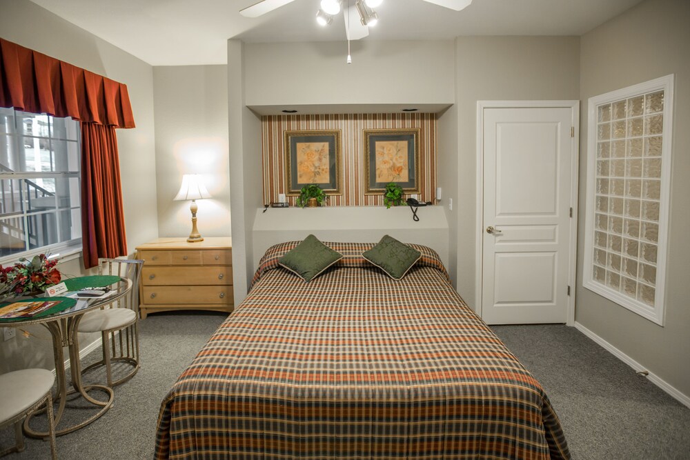 Studio Kitchenette - Guestroom