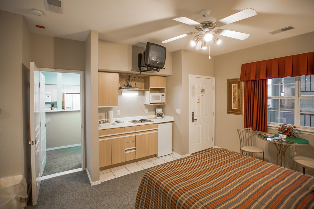 Studio Kitchenette - In-Room Kitchenette