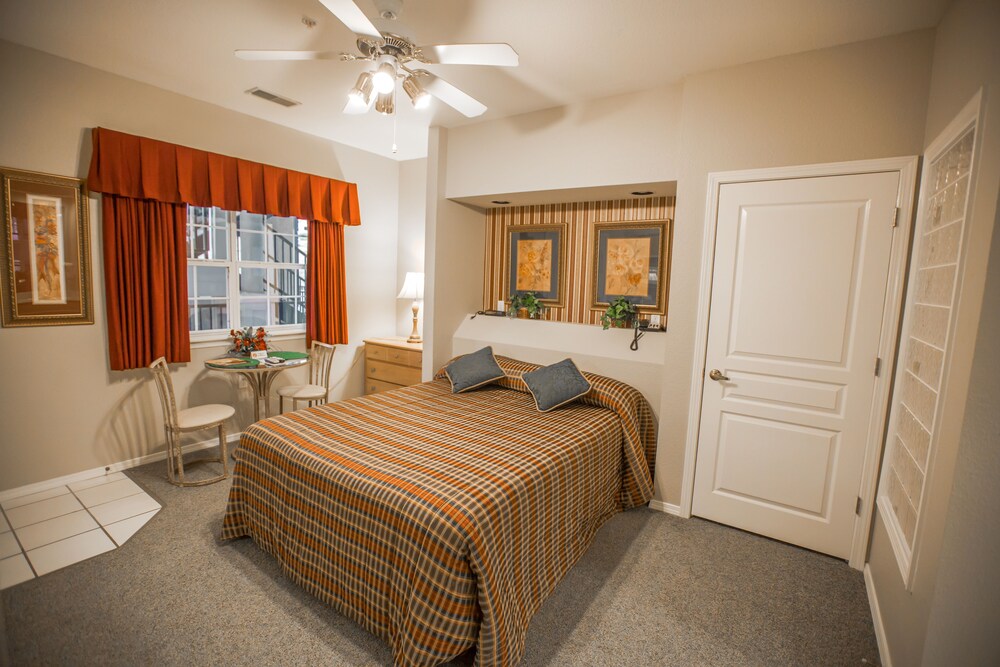 Studio Kitchenette - Guestroom