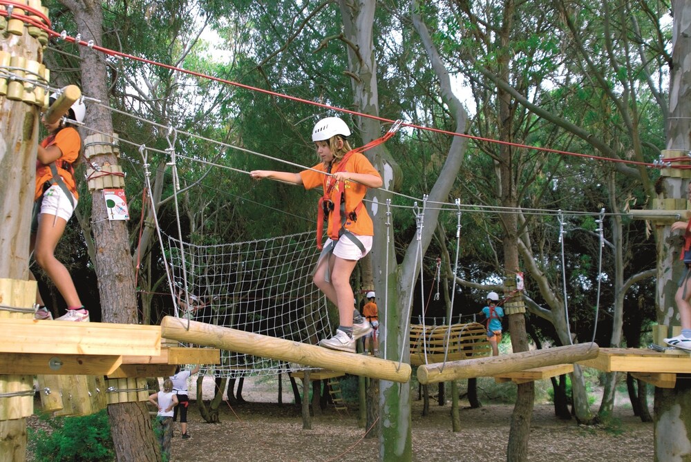 Ropes Course (Team Building)