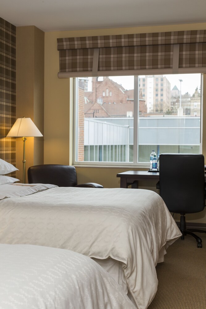 Guestroom View