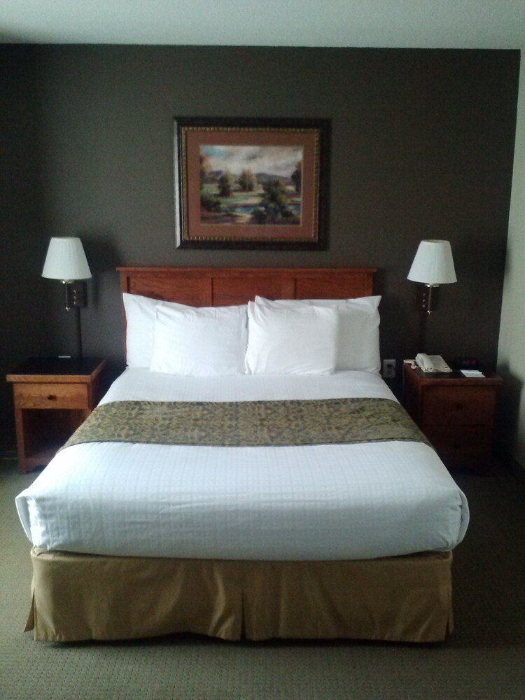 Studio, 1 Queen Bed, Non Smoking - Guestroom
