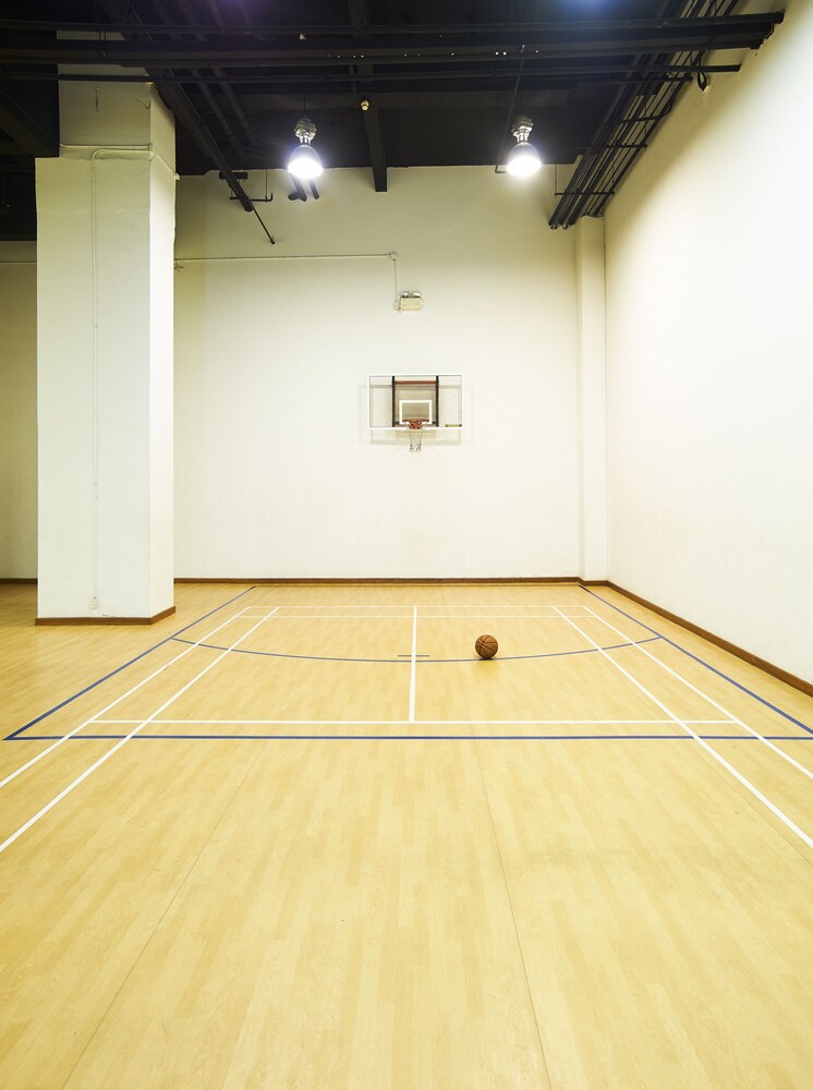 Basketball Court