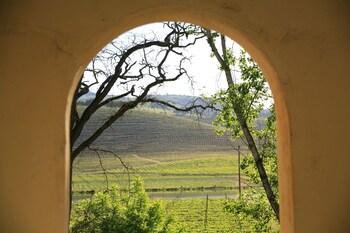 View from Hotel