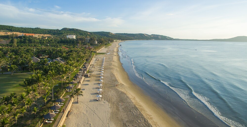 Beach/Ocean View