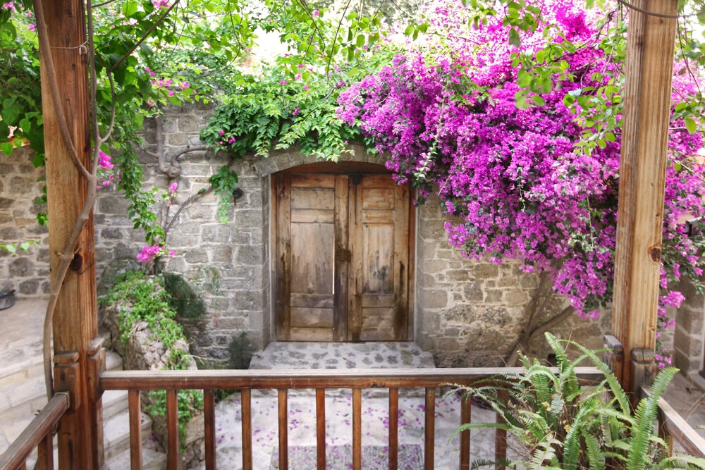 Courtyard View