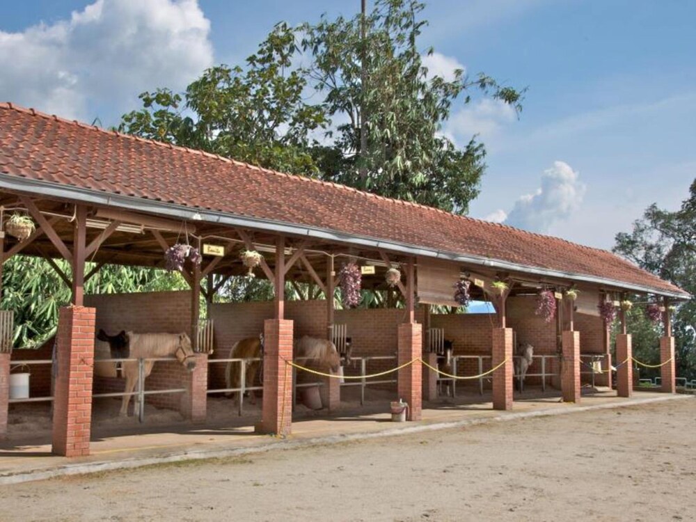 Childrens Area