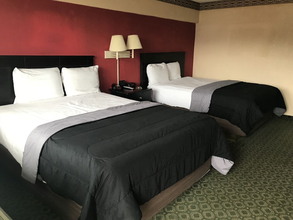 Guestroom View