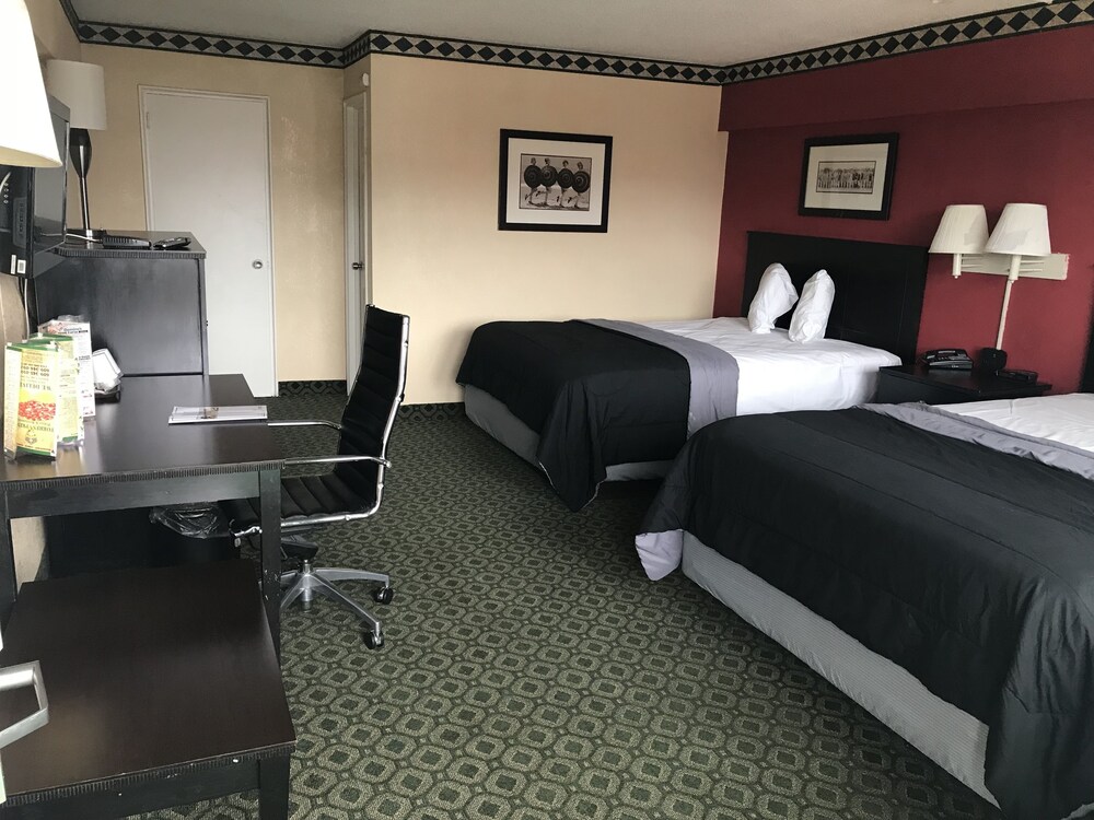 Guestroom View