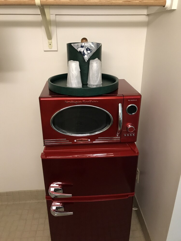 Mini-Refrigerator