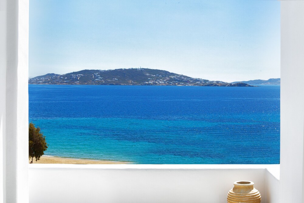 Beach/Ocean View