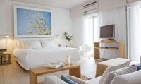 Suite (Grace with Plunge Pool)