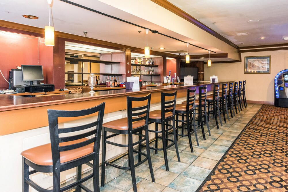 Hotel Bar