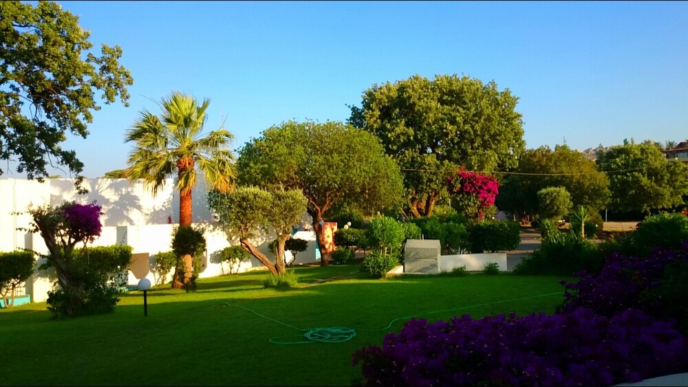 Giardino