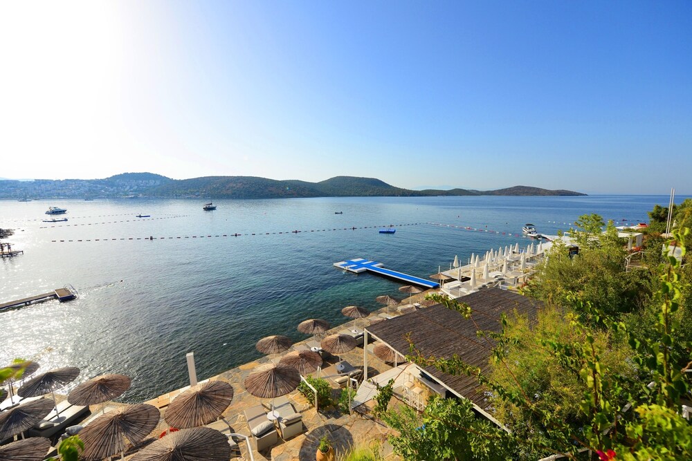 View from Hotel