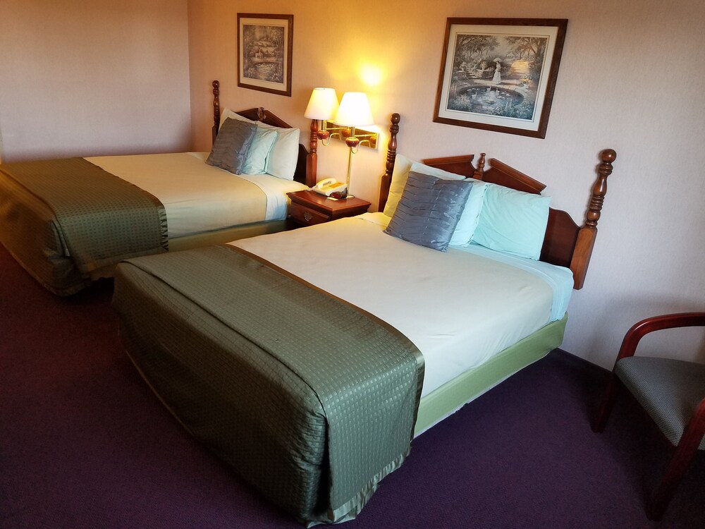 Guestroom View