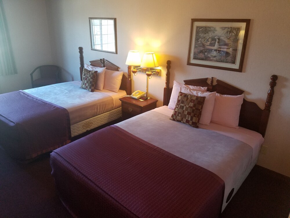 Guestroom View