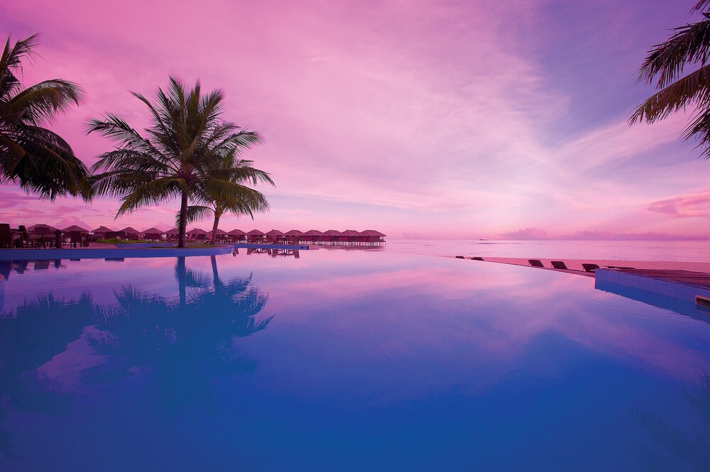 Infinity Pool
