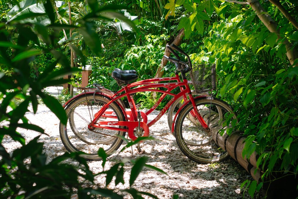 Bicycling